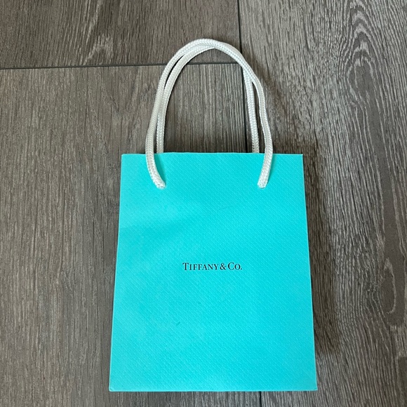 Tiffany and Company Empty Shopping Tote/Gift Bag🩵 - Picture 4 of 8